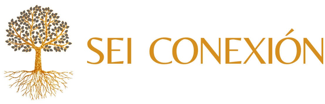 Sei conexion